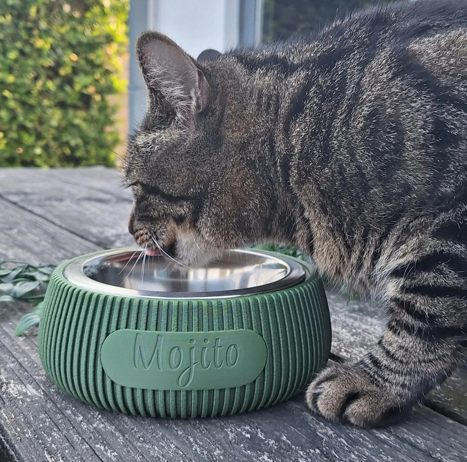 Ciotola Personalizzata per Cani e Gatti con Nome | 3 Misure IDEA Regalo NUOVA, vista 3