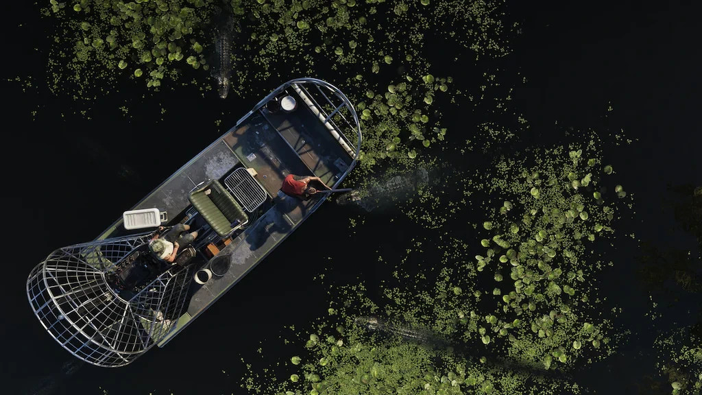 Grand Theft Auto VI PS5 (GTA VI) (Codice Di Attivazione) EU Prevendita, vista 3